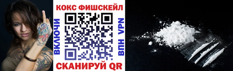 Купить где  Талица  COCAIN Fish Scale 