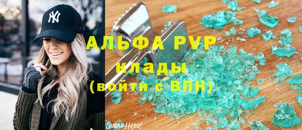 шишки Аркадак