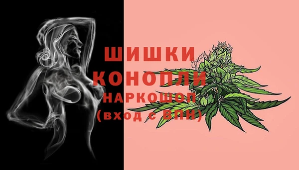 шишки Балабаново