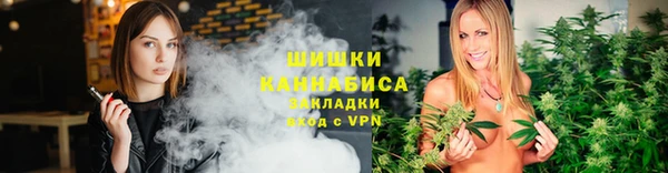 шишки Аркадак