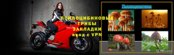 шишки Аркадак