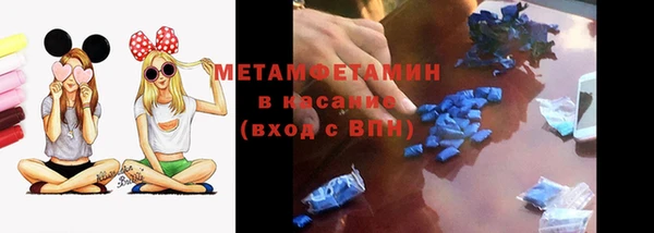 шишки Аркадак