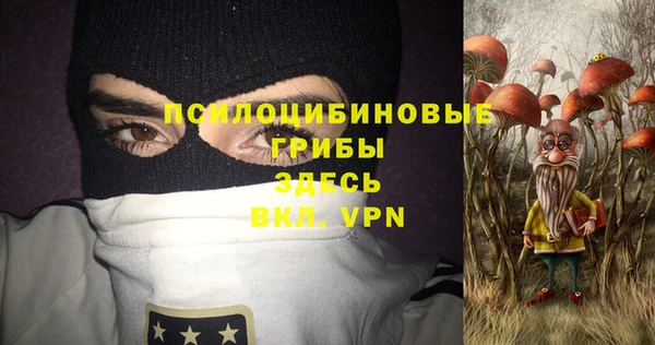 шишки Балабаново