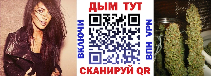 Купить закладки  Талица  Бошки марихуана сатива 